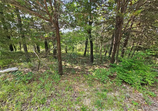 2nd image of 10515 Eagles Nest Dr, Hillsboro, MO 63050 | MLS# MIS26051058