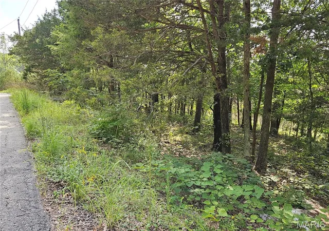 4th image of 10515 Eagles Nest Dr, Hillsboro, MO 63050 | MLS# MIS26051058