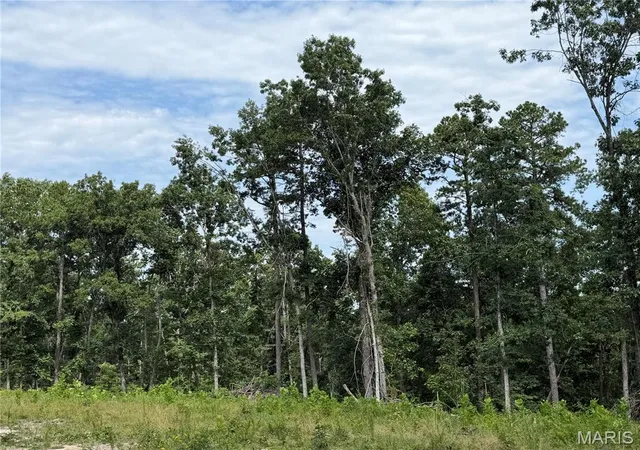 3rd image of #304 Madison 410, Fredericktown, MO 63645 | MLS# MIS26051135