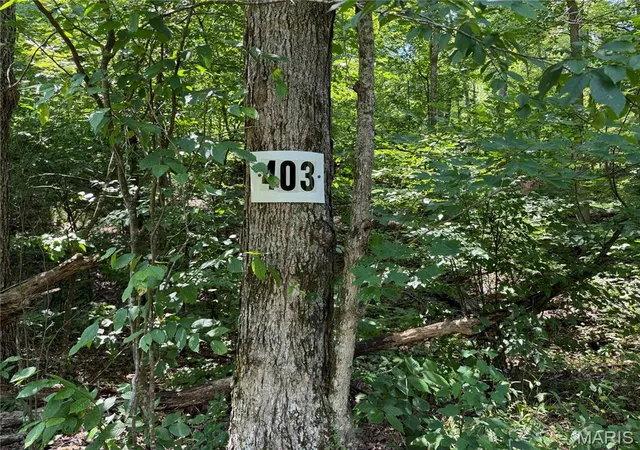 1st image of #403 Madison 410, Fredericktown, MO 63645 | MLS# MIS26051137