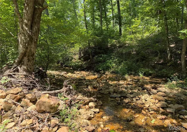 Photo 3 of Land for sale at #403 Madison 410, Fredericktown, MO 63645 | MLS# MIS26051137 | Listing updated on 2026-08-09