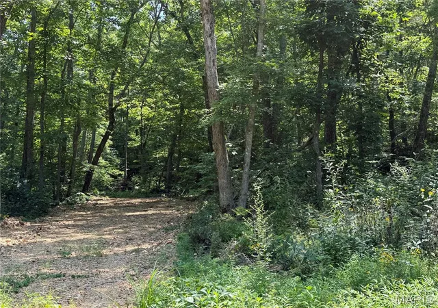 2nd image of #402 Madison 410, Fredericktown, MO 63645 | MLS# MIS26051140