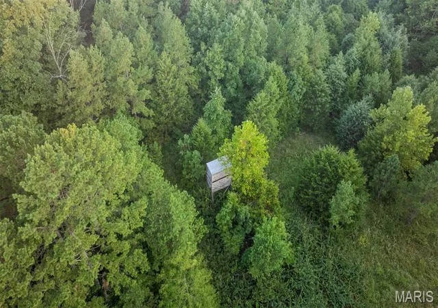 1st image of 11620 Slaughter Rd, Licking, MO 65542 | MLS# MIS26051218