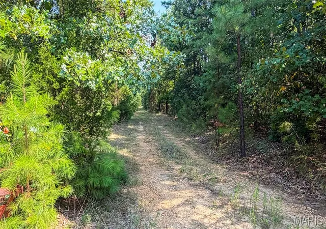 2nd image of 11620 Slaughter Rd, Licking, MO 65542 | MLS# MIS26051218