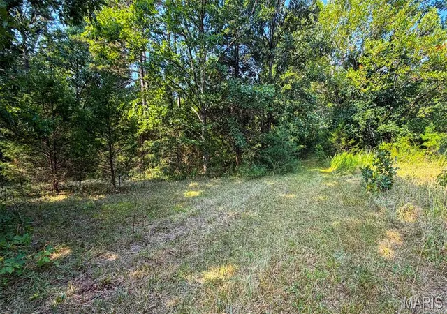 5th image of 11620 Slaughter Rd, Licking, MO 65542 | MLS# MIS26051218