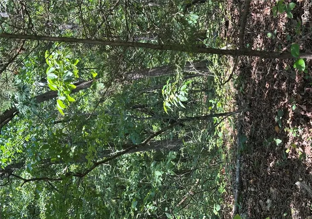 5th image of Tbd Hwy 14, Drury, MO 65638 | MLS# MIS26051246