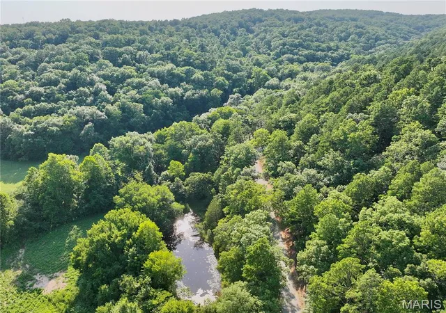 4th image of Tbd County Road 6670, Salem, MO 65560 | MLS# MIS26051351