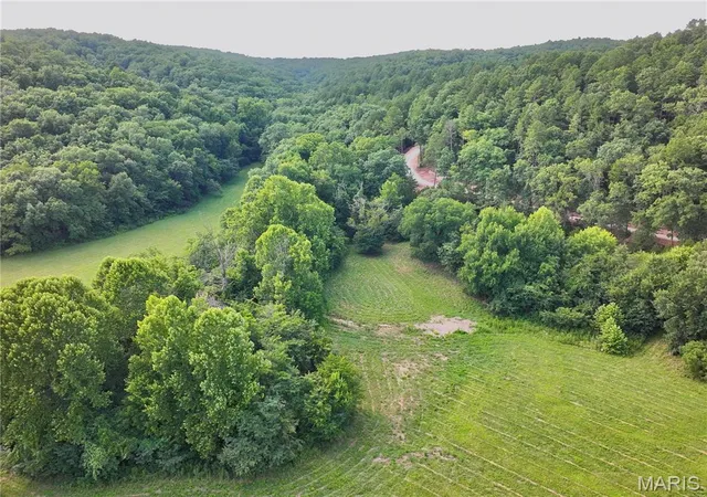 5th image of Tbd County Road 6670, Salem, MO 65560 | MLS# MIS26051351