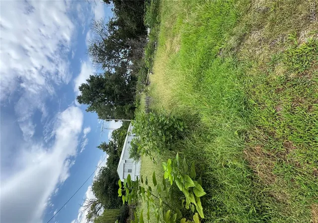 Photo 4 of Land for sale at 122 Main St, Holcomb, MO 63852 | MLS# MIS26051358 | Listing updated on 2026-08-10