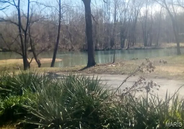 Photo 4 of Land for sale at 0 Co Rd 459, Piedmont, MO 63957 | MLS# MIS26051367 | Listing updated on 2026-08-14