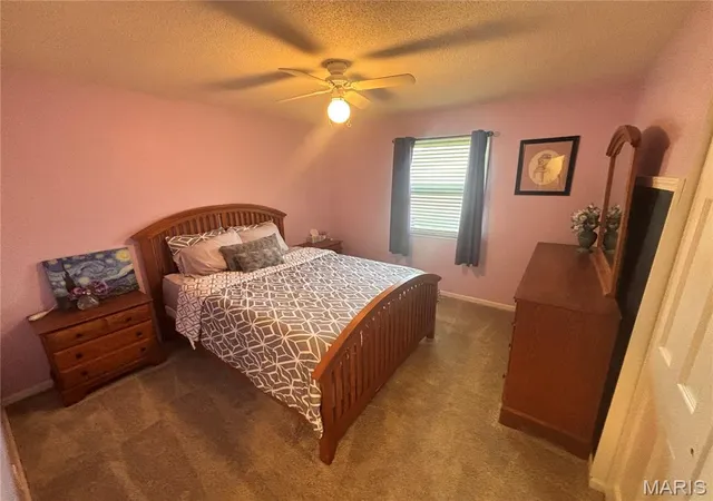 4th image of 185 Lake Apollo Dr, Hannibal, MO 63401 | MLS# MIS26051432