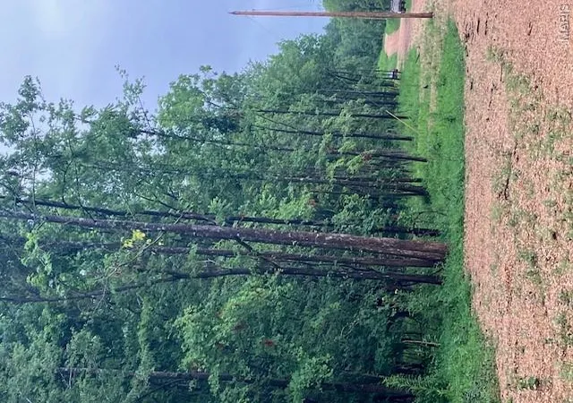 1st image of 73 Madison Cr 410, Fredericktown, MO 63645 | MLS# MIS26051445