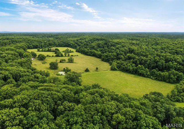 1st image of 13016 Jinkerson Rd, Potosi, MO 63664 | MLS# MIS26051449