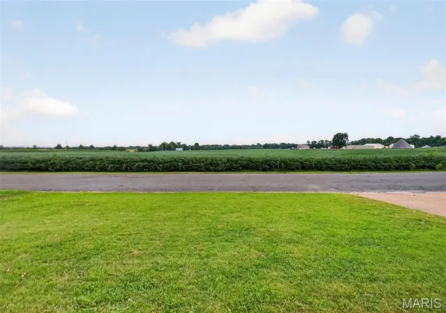Photo 39 of Single family home for sale at 171 N Nike St, Hecker, IL 62248 | MLS# MIS26051597 | Listing updated on 2026-09-02
