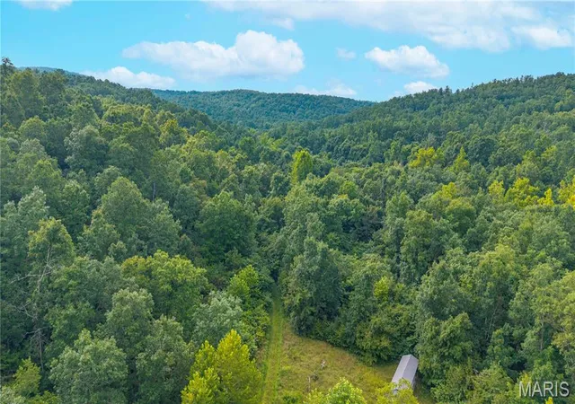 1st image of 301 County Road 203, Annapolis, MO 63620 | MLS# MIS26051612