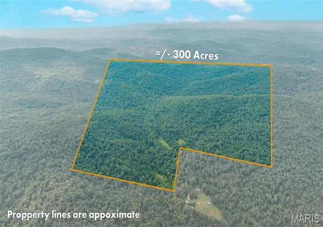 66th image of 301 County Road 203, Annapolis, MO 63620 | MLS# MIS26051612