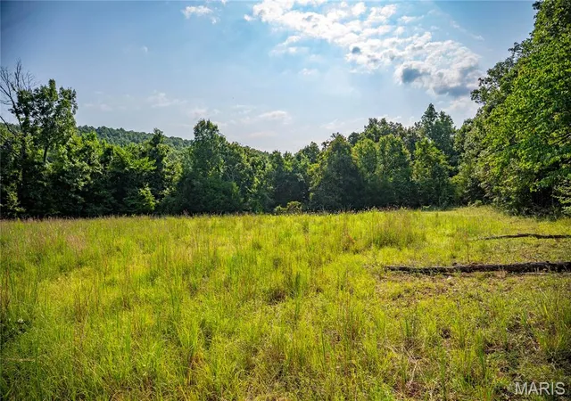 1st image of 160 County Road 203, Annapolis, MO 63620 | MLS# MIS26051632