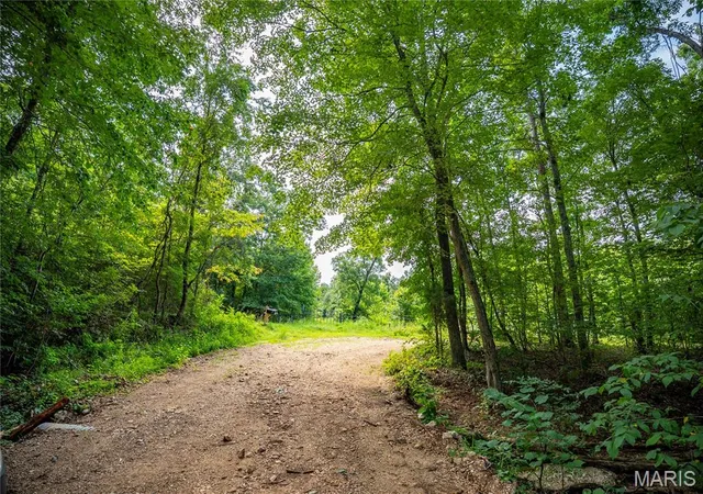 64th image of 160 County Road 203, Annapolis, MO 63620 | MLS# MIS26051632