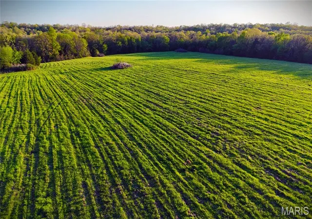 1st image of 000 Brainerd Ln, Crocker, MO 65452 | MLS# MIS26051872