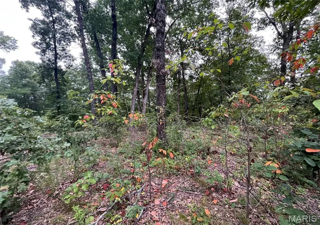 Photo 1 of Land for sale at 000 Partridge, Climax Springs, MO 65324 | MLS# MIS26051903 | Listing updated on 2026-08-12