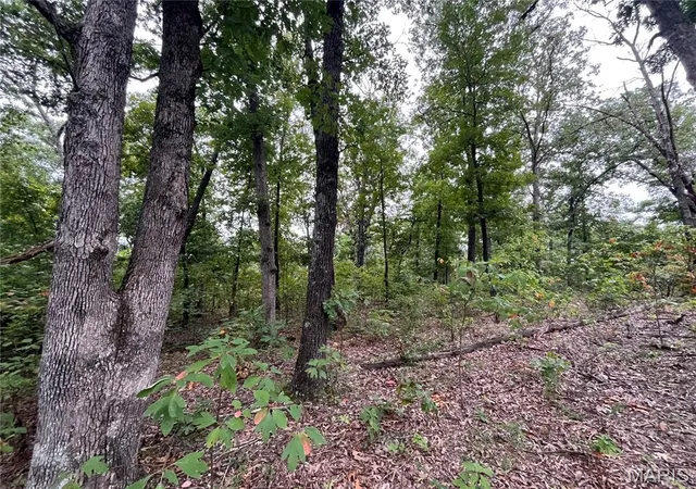 Photo 2 of Land for sale at 000 Partridge, Climax Springs, MO 65324 | MLS# MIS26051903 | Listing updated on 2026-08-12