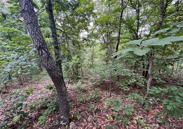Photo 3 of Land for sale at 000 Partridge, Climax Springs, MO 65324 | MLS# MIS26051903 | Listing updated on 2026-08-12