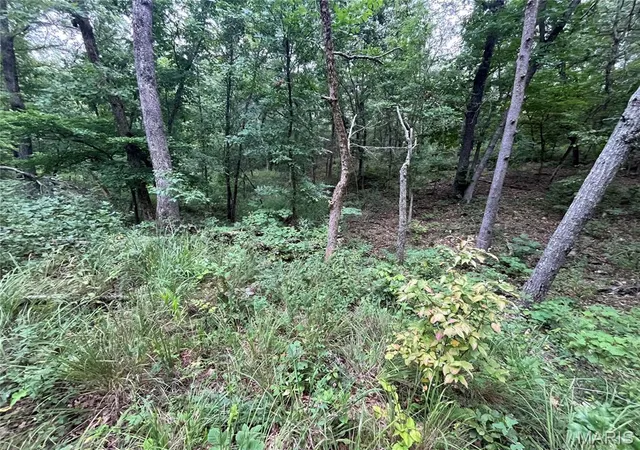 Photo 31 of Land for sale at 000 Partridge, Climax Springs, MO 65324 | MLS# MIS26051903 | Listing updated on 2026-08-12