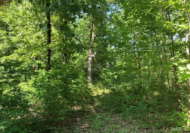 50th image of 0 Pcr 842, Saint Mary, MO 63673 | MLS# MIS26051907