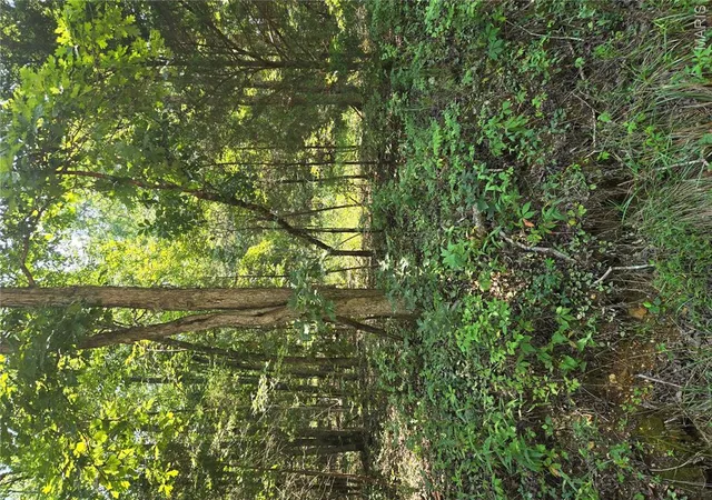 1st image of 0001 County Road 421, Birch Tree, MO 65438 | MLS# MIS26051926