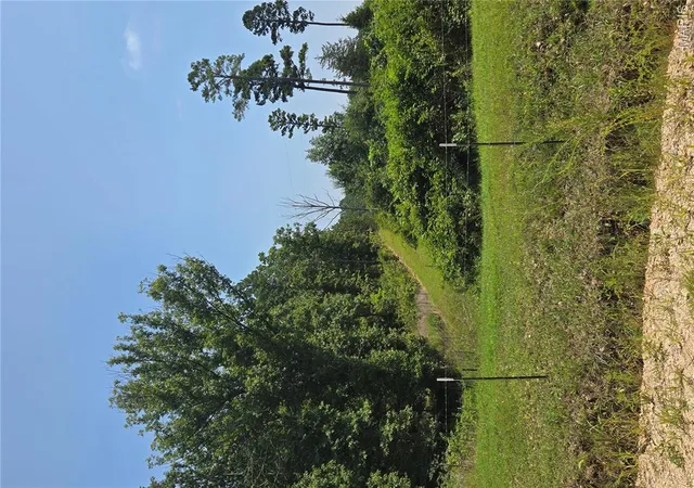 11th image of 0001 County Road 421, Birch Tree, MO 65438 | MLS# MIS26051926