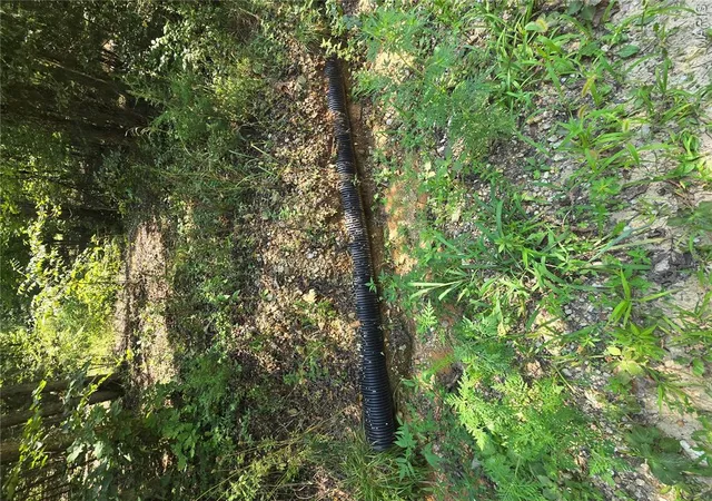 2nd image of 0001 County Road 421, Birch Tree, MO 65438 | MLS# MIS26051926