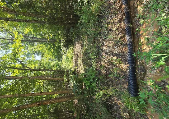 3rd image of 0001 County Road 421, Birch Tree, MO 65438 | MLS# MIS26051926