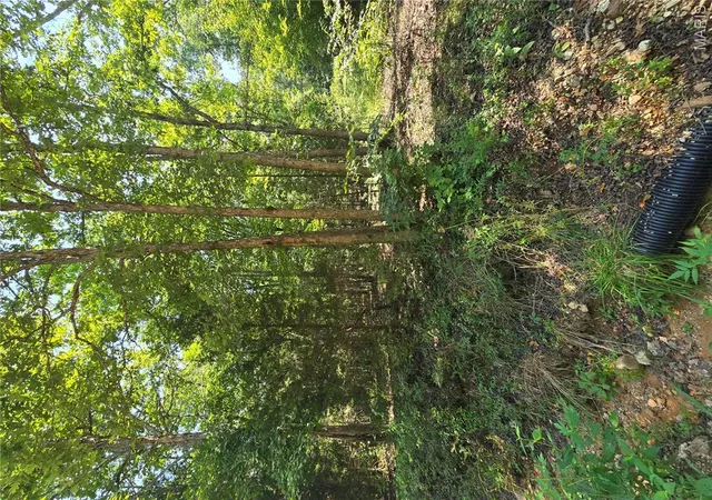 4th image of 0001 County Road 421, Birch Tree, MO 65438 | MLS# MIS26051926