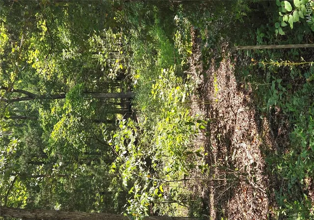 5th image of 0001 County Road 421, Birch Tree, MO 65438 | MLS# MIS26051926