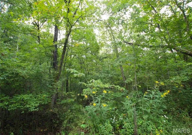 1st image of 414 +/  Acres Pendleton Lost Creek Rd, Warrenton, MO 63383 | MLS# MIS26051932