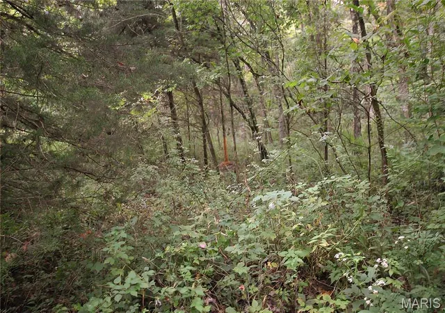 1st image of 465 +/  Acres Pendleton Lost Creek Rd, Warrenton, MO 63383 | MLS# MIS26051935