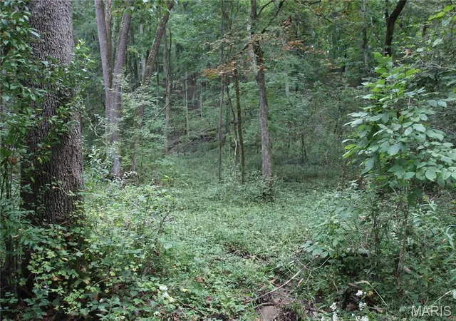 1st image of 672 +/- Acres Pendleton Lost Creek Rd, Warrenton, MO 63383 | MLS# MIS26051937
