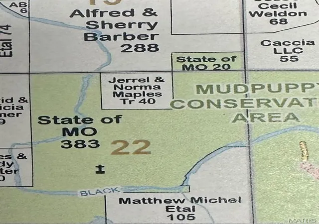 2nd image of 0 0, Fairdealing, MO 63939 | MLS# MIS26051938