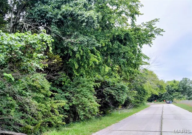 6th image of X Old State Rte 30, Cedar Hill, MO 63016 | MLS# MIS26052122