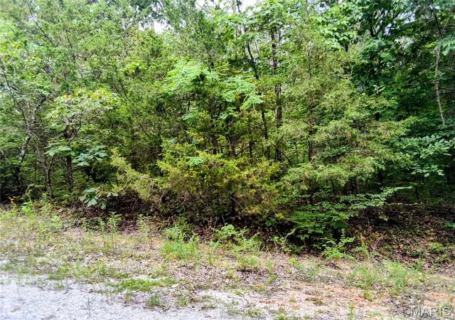 3rd image of Lots 26-29 Kent Dr, Cedar Hill, MO 63016 | MLS# MIS26052125