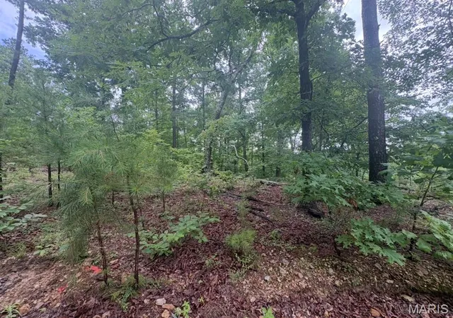 1st image of 0 County Road 447, Redford, MO 63665 | MLS# MIS26052129