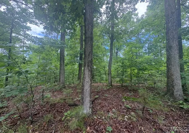2nd image of 0 County Road 447, Redford, MO 63665 | MLS# MIS26052129