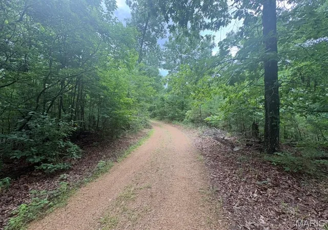 3rd image of 0 County Road 447, Redford, MO 63665 | MLS# MIS26052129
