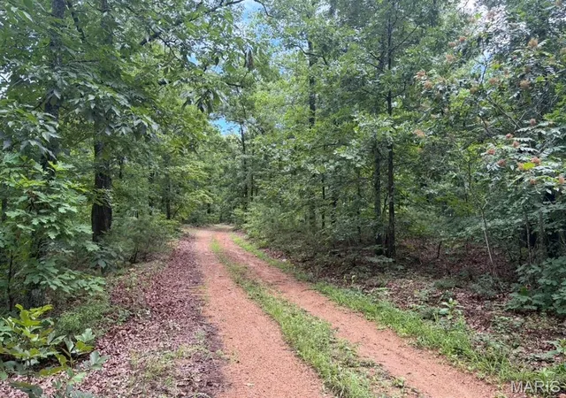 4th image of 0 County Road 447, Redford, MO 63665 | MLS# MIS26052129