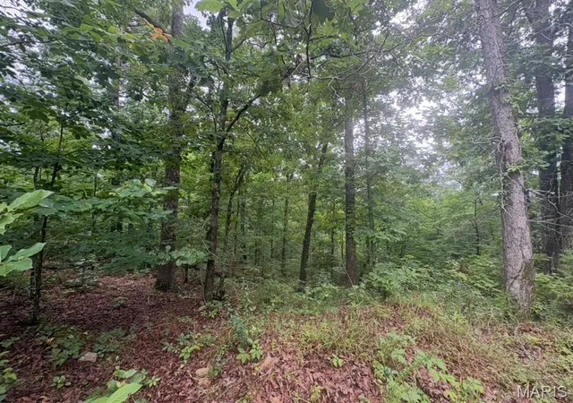 5th image of 0 County Road 447, Redford, MO 63665 | MLS# MIS26052129