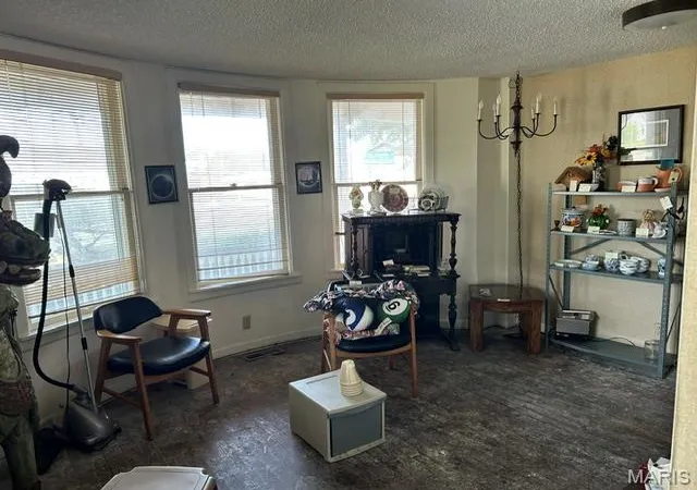 4th image of 900 Cedar St, Bismarck, MO 63624 | MLS# MIS26052223