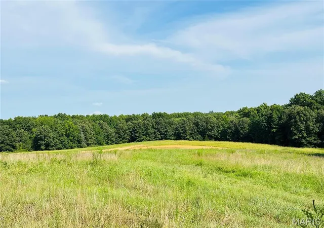 Photo 1 of Land for sale at 0 Hwy W, Advance, MO 63730 | MLS# MIS26052241 | Listing updated on 2026-08-13