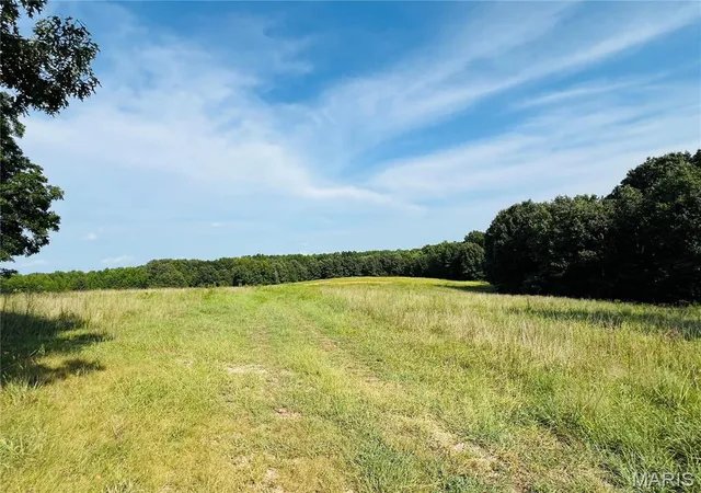 Photo 2 of Land for sale at 0 Hwy W, Advance, MO 63730 | MLS# MIS26052241 | Listing updated on 2026-08-13