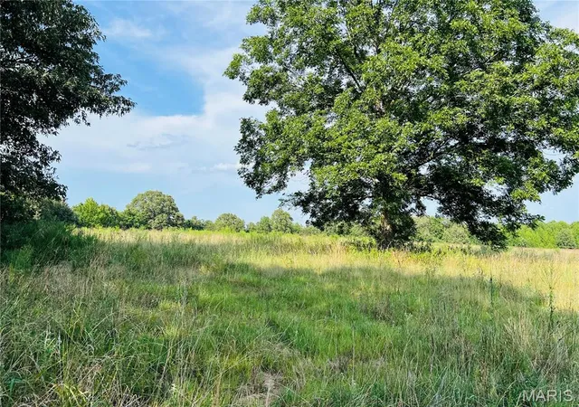 Photo 4 of Land for sale at 0 Hwy W, Advance, MO 63730 | MLS# MIS26052241 | Listing updated on 2026-08-13