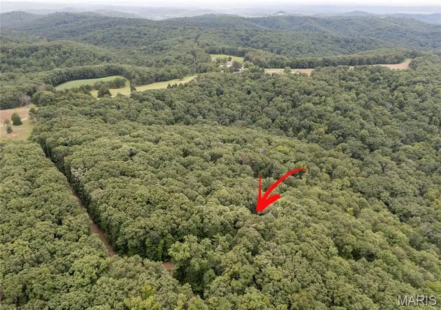 53rd image of 23210 Spring Branch Rd, Warrenton, MO 63383 | MLS# MIS26052244
